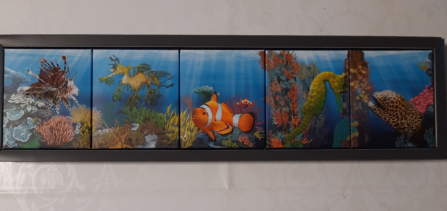  Australien Serie Sea Life The Reef. Silber Proof Farbmünzen   