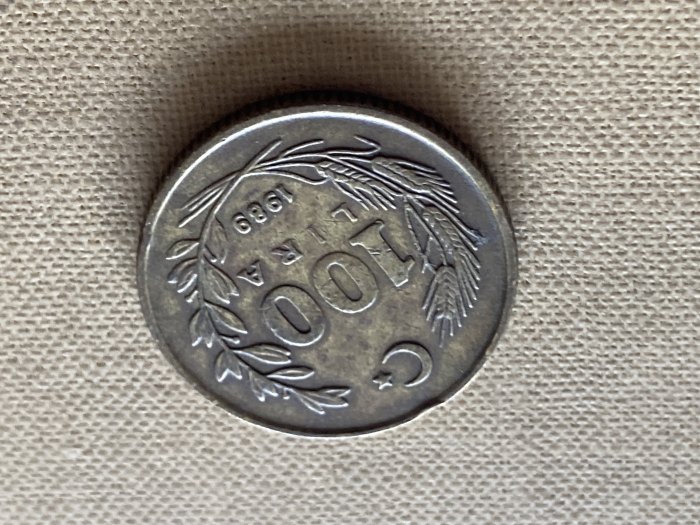  Münze Münzen Umlaufmünze Türkei 100 Lira 1989   