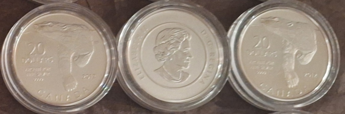  Kanada, 2x20 Dollar 2012+2013, je 999er Silber (7,96 fein)   