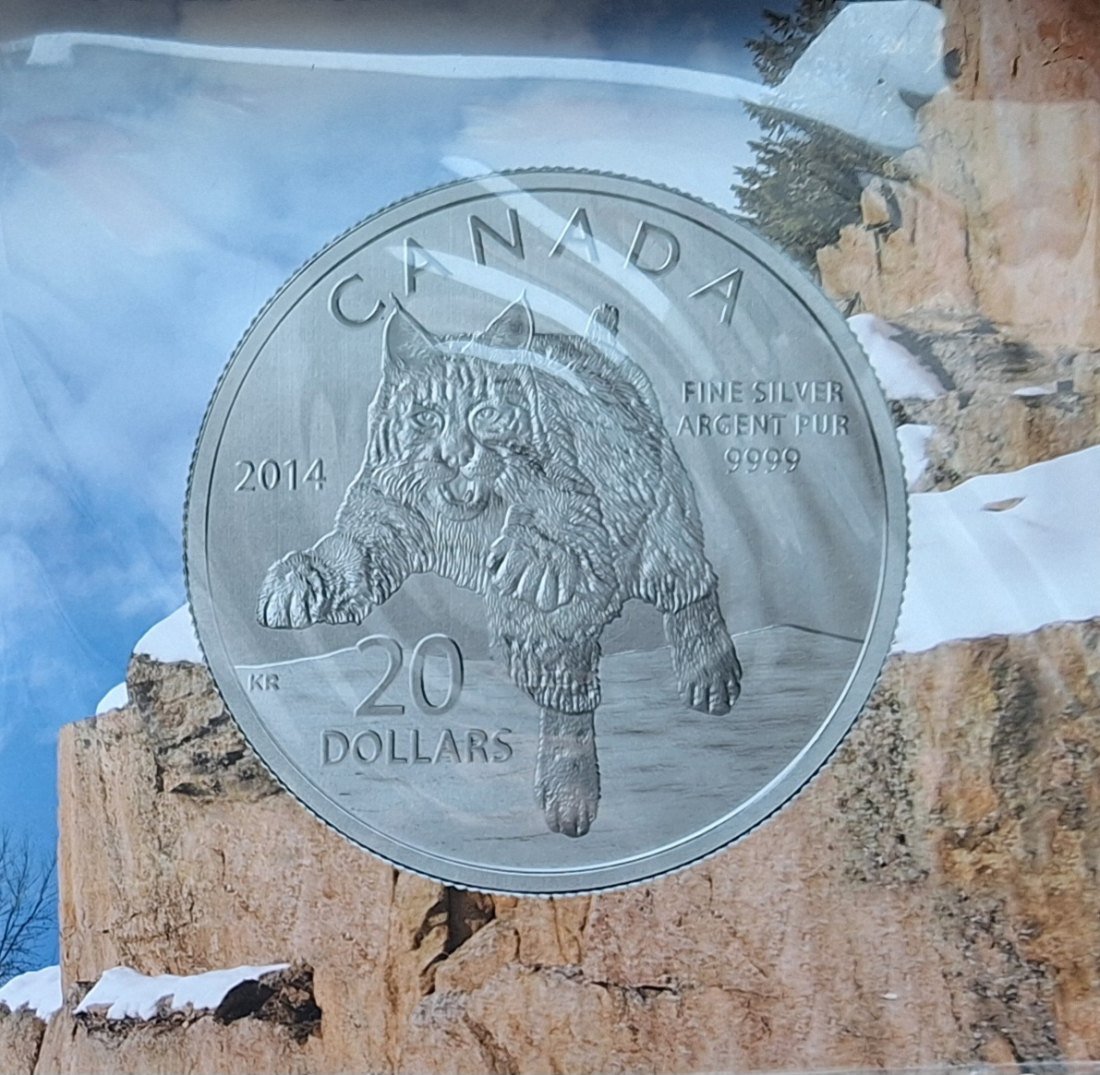  Kanada, 2x20 Dollar 2013+2014, je 999er Silber (7,96 fein)   