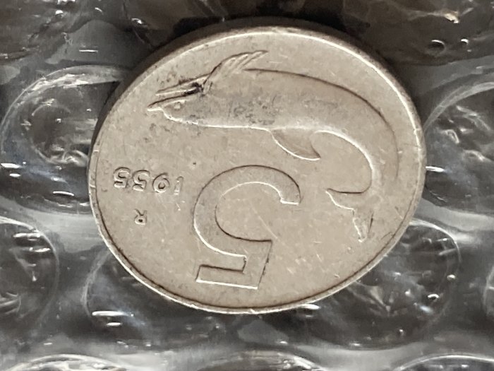  Münze Münzen Umlaufmünze Italien 5 Lire 1955   