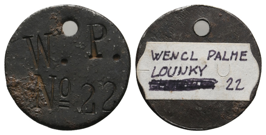  Marke; W.P: No.22; Wencl Palme Louky 22, gelocht   