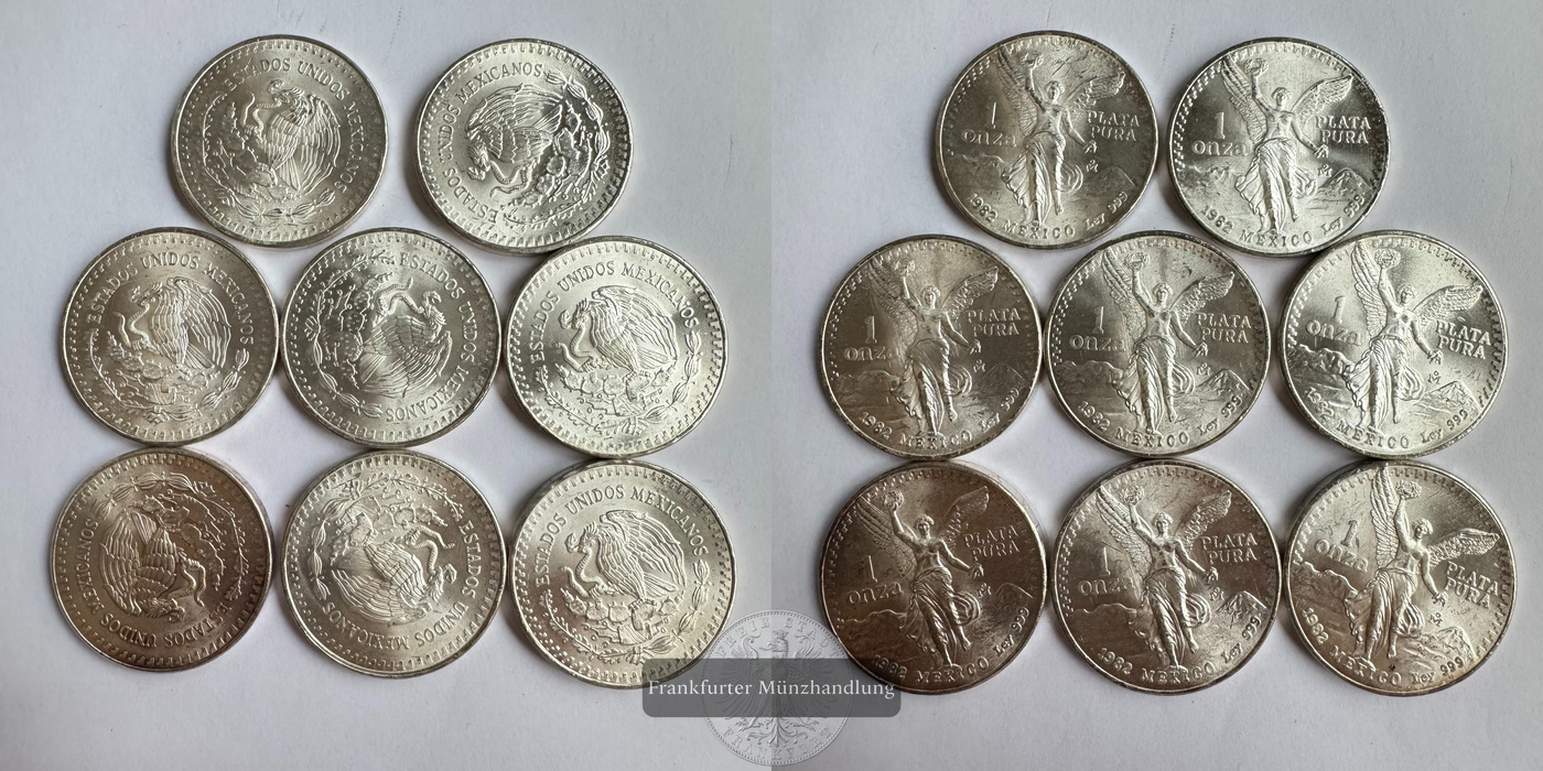  Lot Mexiko / 8x 1 Onza Libertad 1982 FM-Frankfurt KM# 494.1 Feinsilber: 248,8g   