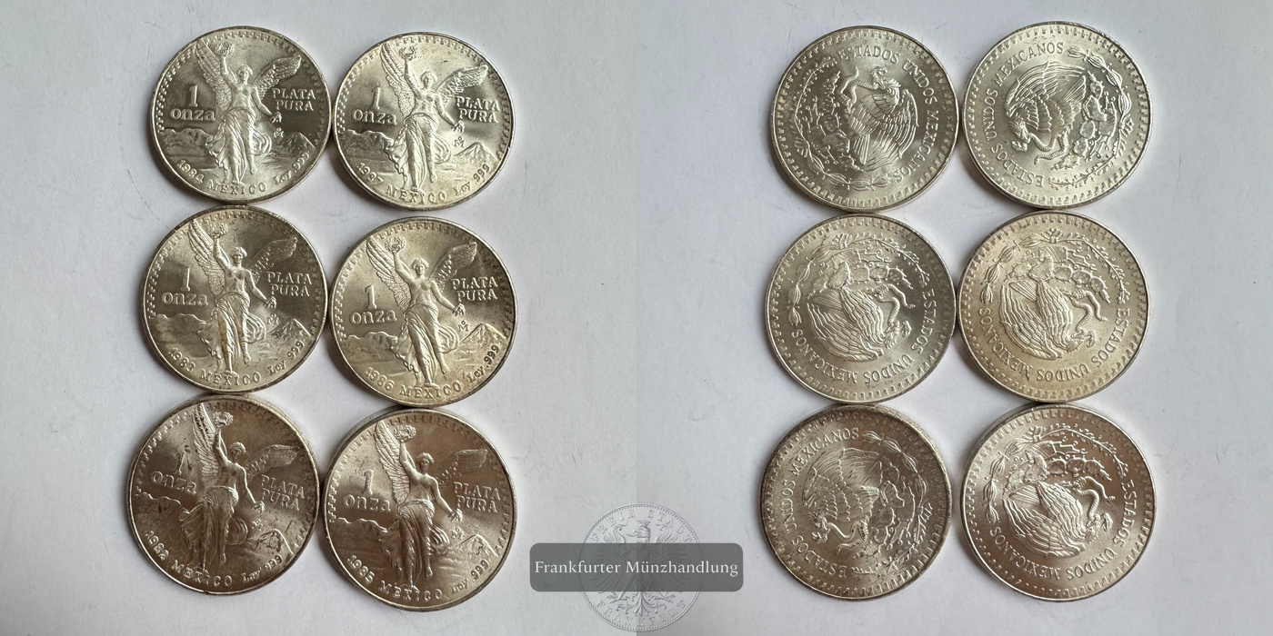  Lot Mexiko / 6x 1 Onza Libertad 1982-1987 FM-Frankfurt KM# 494.1 Feinsilber: 186,6g   