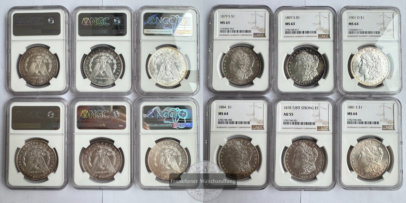  Lot USA / 6x 1 Dollar Morgan Dollar div. Jg. (1878-1901) Graded FM-Frankfurt Feinsilber: 144,34g   
