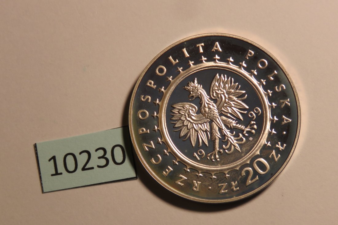  10230 Polen 1999 - 20 zt - Palast Radzyn Podlaski - 28,2 g SILBER 0.925   