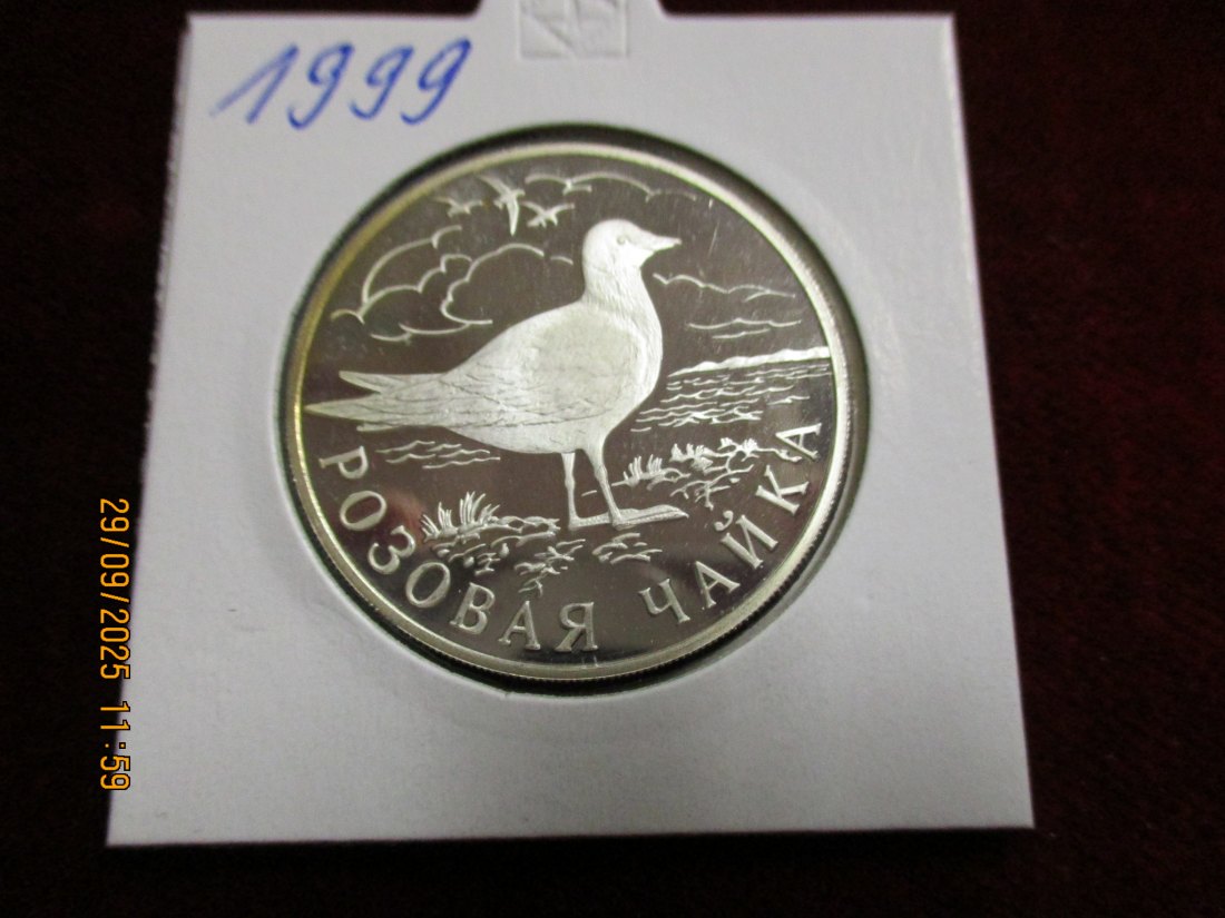  Russland 1 Rubel 1999 Tiere Rosenmöwe 900er Silber 15,55 Gramm   