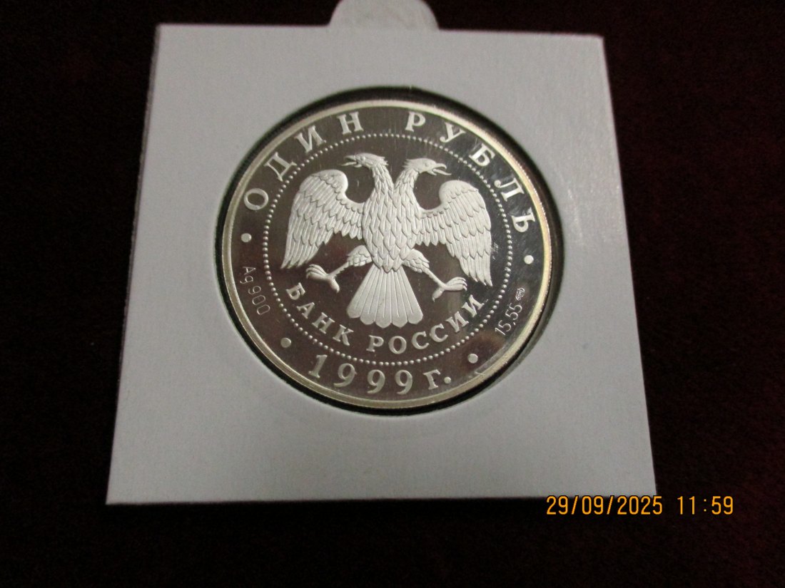  Russland 1 Rubel 1999 Tiere Rosenmöwe 900er Silber 15,55 Gramm   