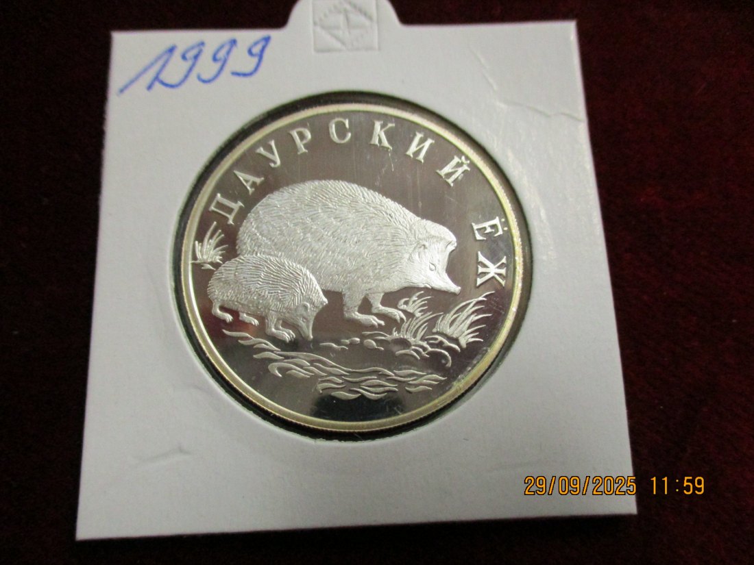  Russland 1 Rubel 1999 Tiere Igel 900er Silber 15,55 Gramm   