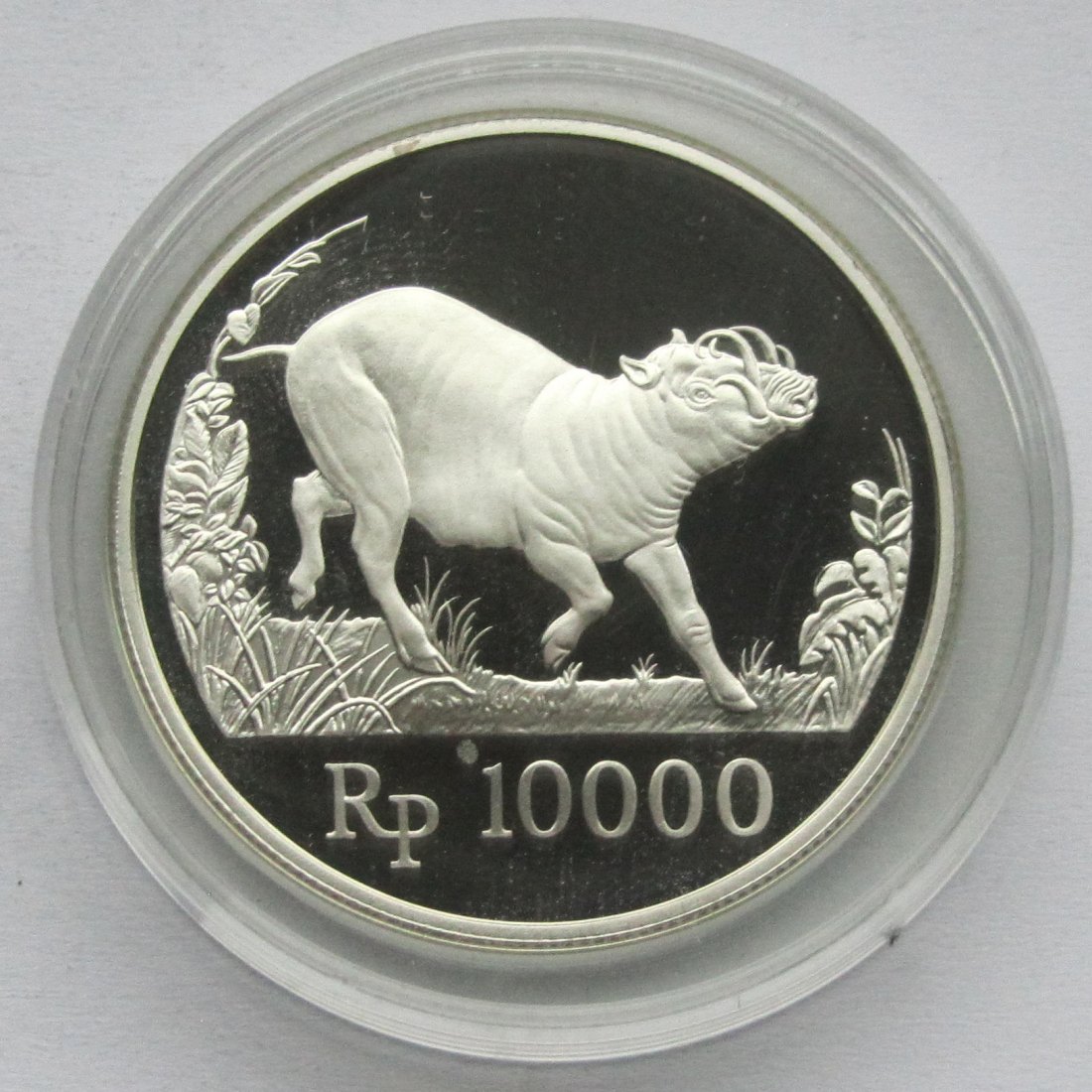  Indonesien: 10.000 Rupiah Hirscheber 1987, 18 g Feinsilber   