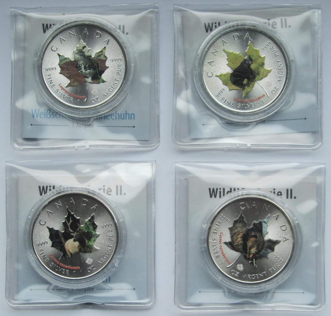  Kanada: Vier Silberunzen Maple Leaf, koloriert, Serie Wildlife II, zusammen 124,4 g Feinsilber   