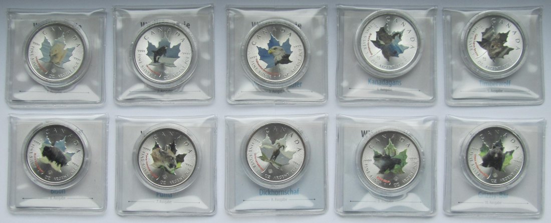  Kanada: Zehn Silberunzen Maple Leaf, koloriert, Serie Wildlife I, zusammen 311 g Feinsilber   