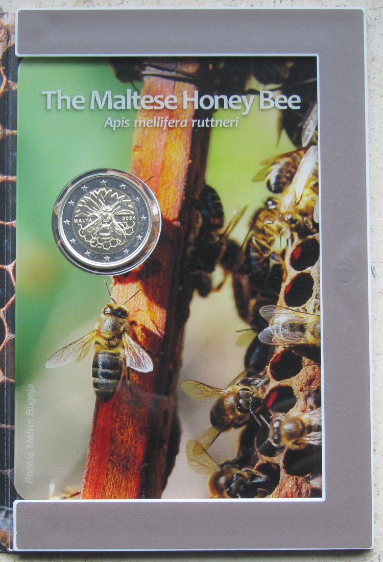  Malta: 2 Euro Honigbiene 2024   