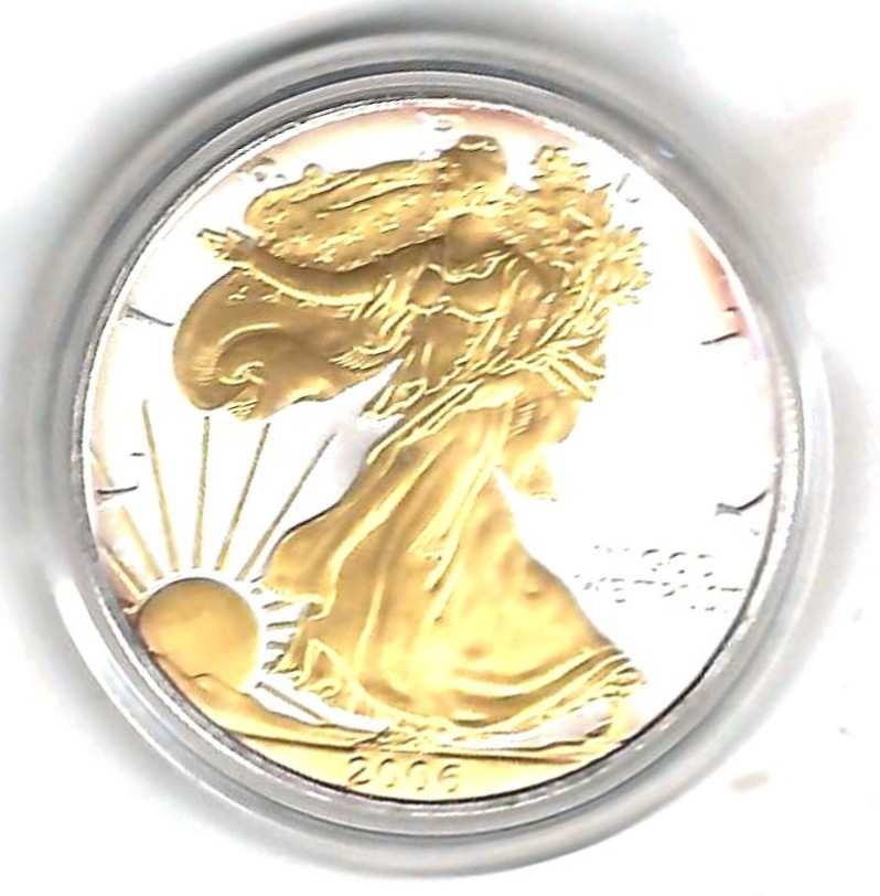  USA 1D.2006 1 OZ 24 K Gildet Koblenzer Muenzen Studio Münzankauf Koblenz Frank Maurer AL678   
