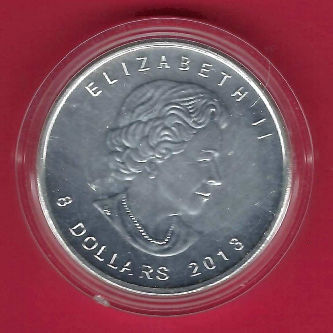  Canada 8 Dollar Bär 1 1/2 Oz Feinsilber 2013 Münzenankauf Koblenz Frank Maurer AL 901   