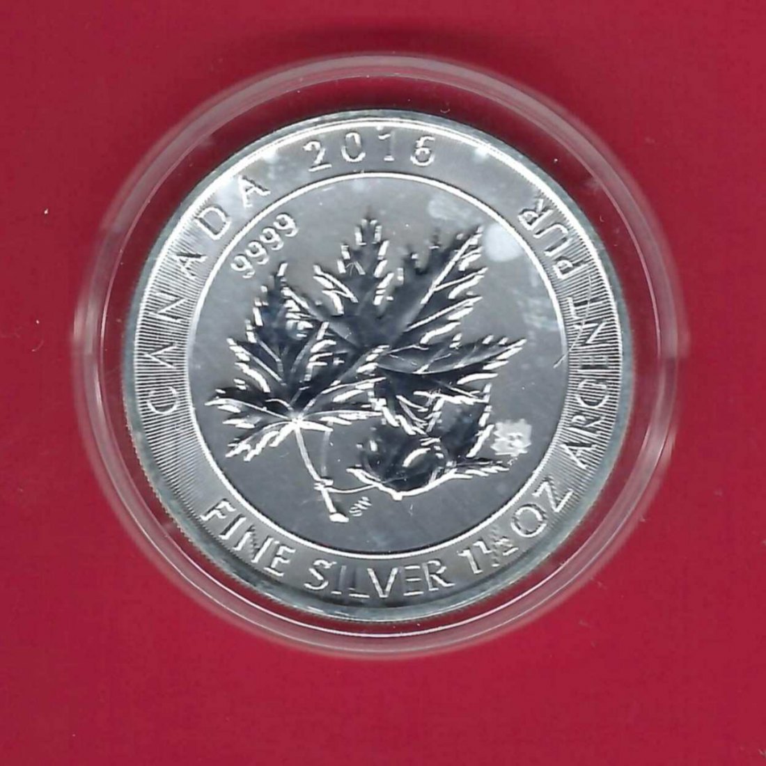 Canada 8 Dollar Maple leaf  1 1/2 Oz Feinsilber 2016 Münzenankauf Koblenz Frank Maurer AL 902   
