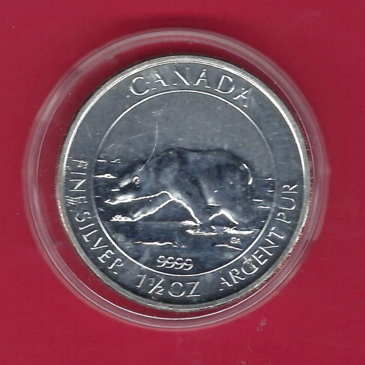  Canada 8 Dollar Bär 1 1/2 Oz Feinsilber 2013 Münzenankauf Koblenz Frank Maurer AL 905   
