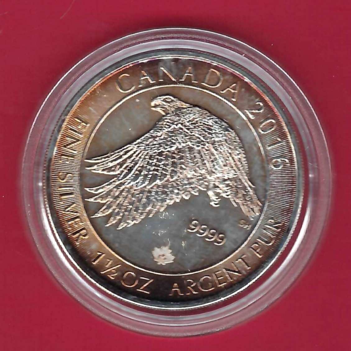  Canada 8 Dollar Eagle 1 1/2 Oz Feinsilber 2016 Münzenankauf Koblenz Frank Maurer AL 907   