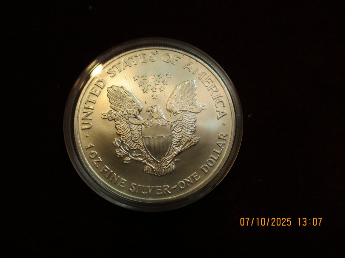  USA 1 Dollar 2002 American Eagle Color, 999er Silber Gewicht: 31,1g   