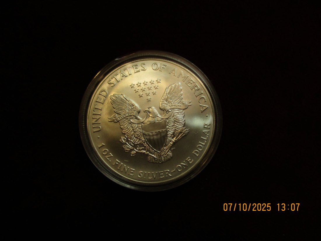  USA 1 Dollar 2002 American Eagle Color, 999er Silber Gewicht: 31,1g   