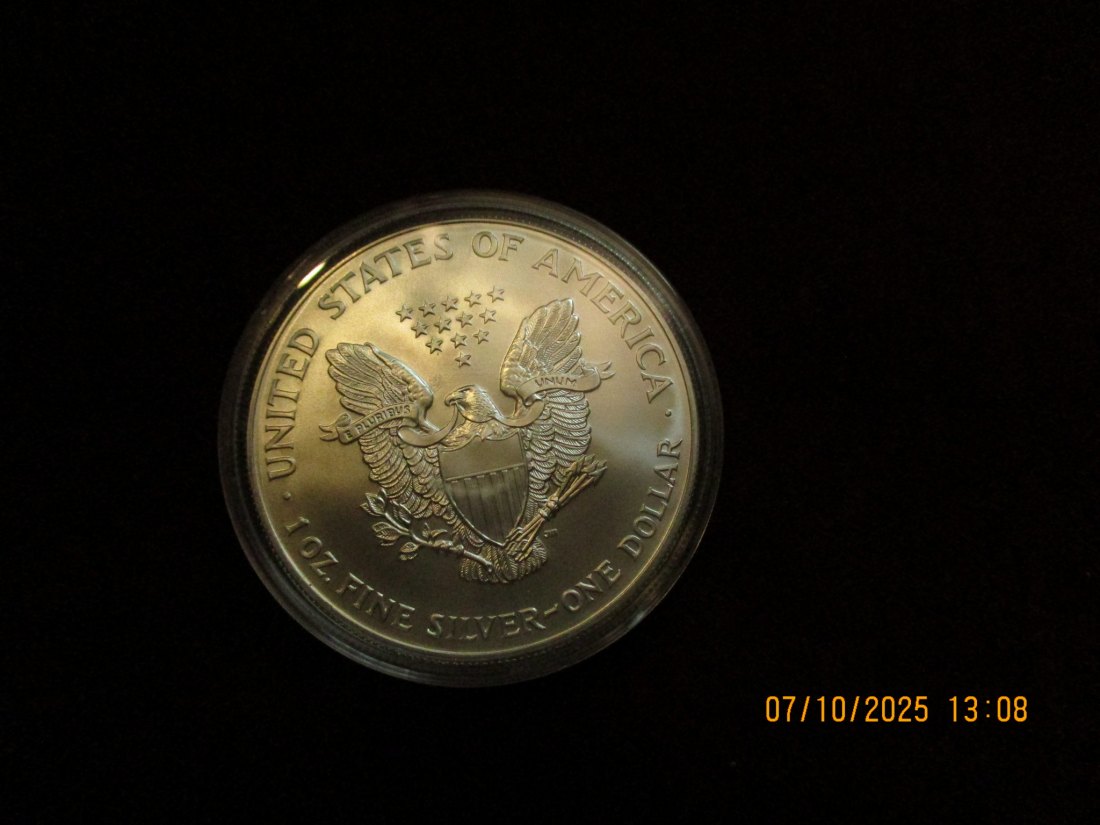  USA 1 Dollar 2002 American Eagle Color, 999er Silber Gewicht: 31,1g   
