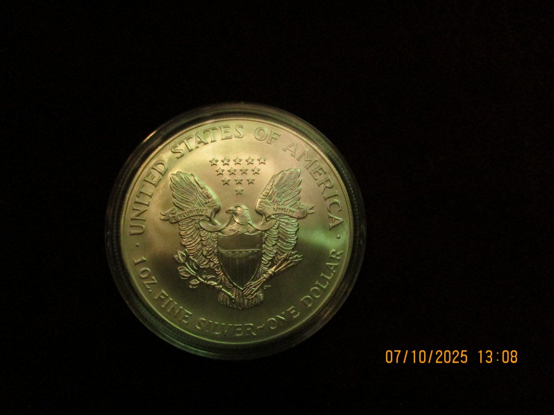  USA 1 Dollar 2002 American Eagle Color, 999er Silber Gewicht: 31,1g   