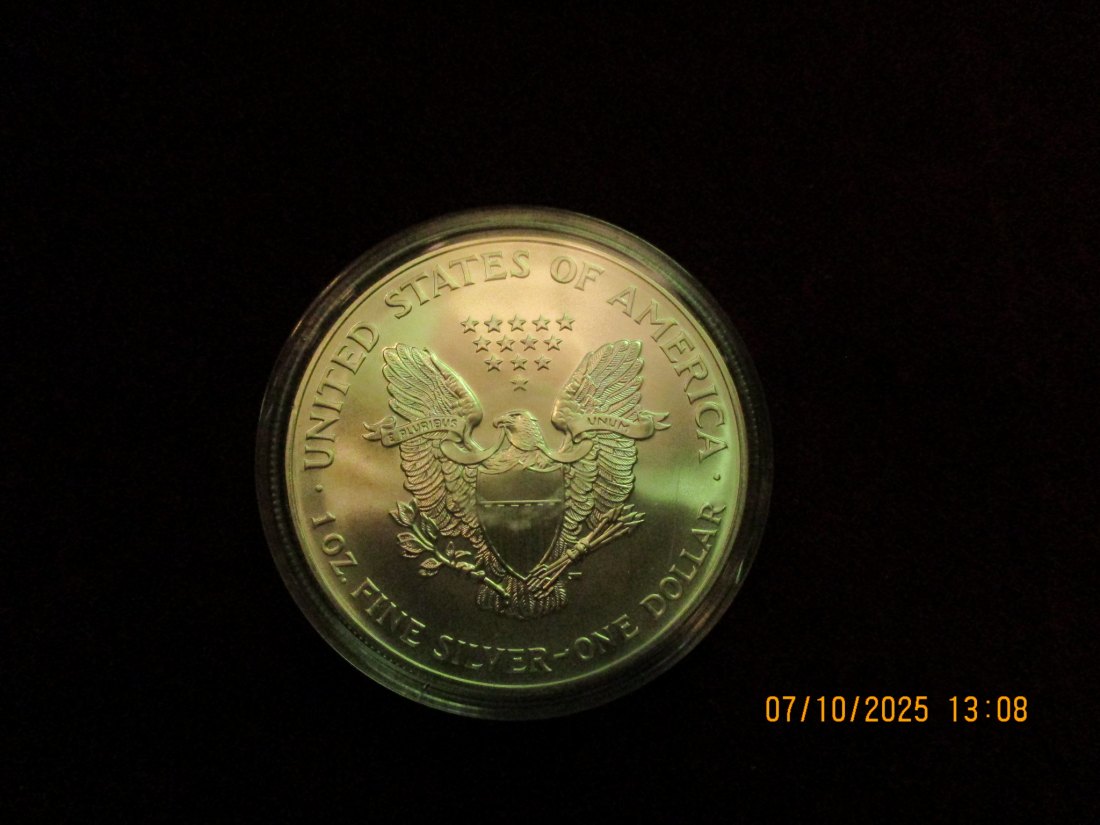  USA 1 Dollar 2001 American Eagle Color, 999er Silber Gewicht: 31,1g   