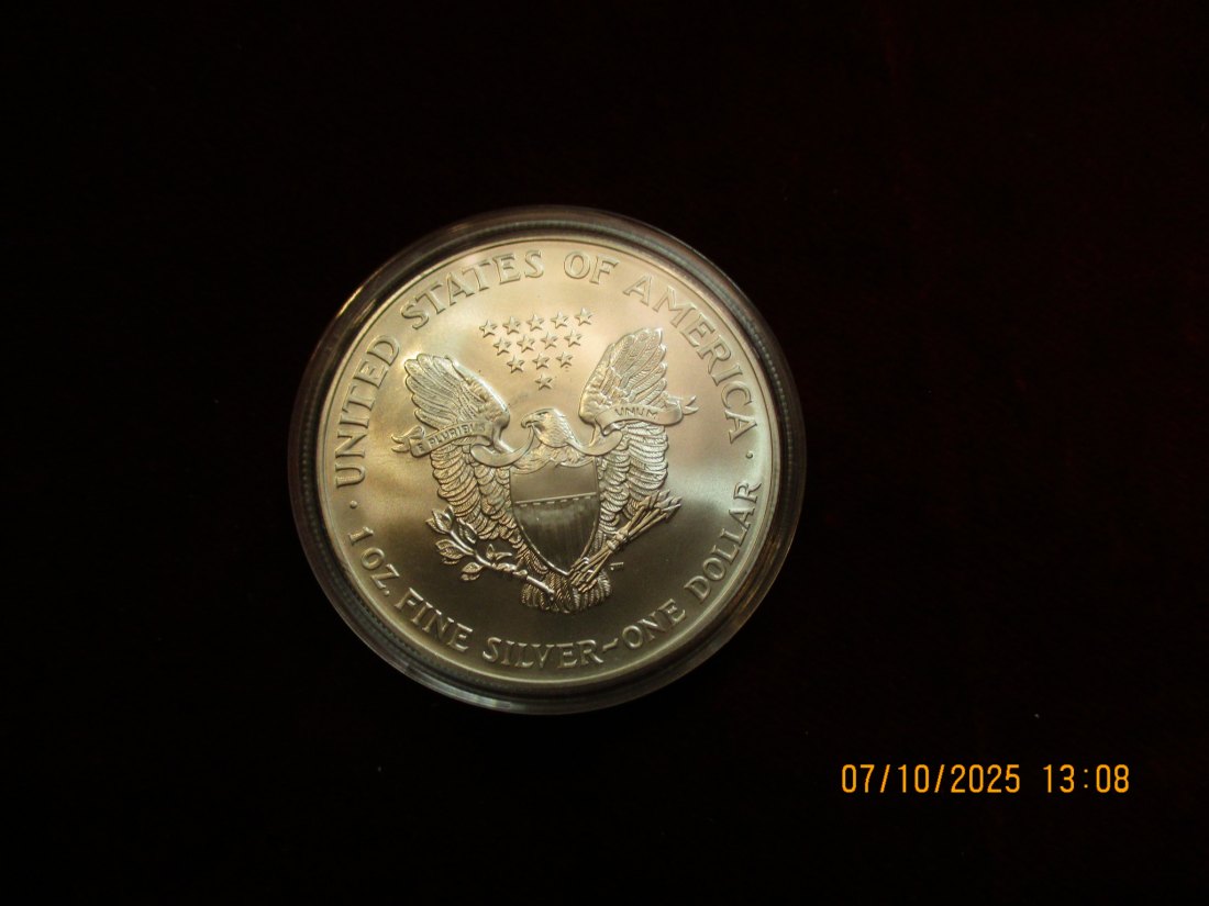  USA 1 Dollar 2001 American Eagle Color, 999er Silber Gewicht: 31,1g   