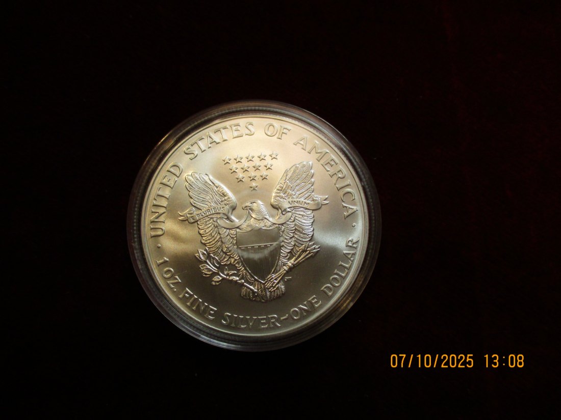 USA 1 Dollar 2001 American Eagle Color, 999er Silber Gewicht: 31,1g   