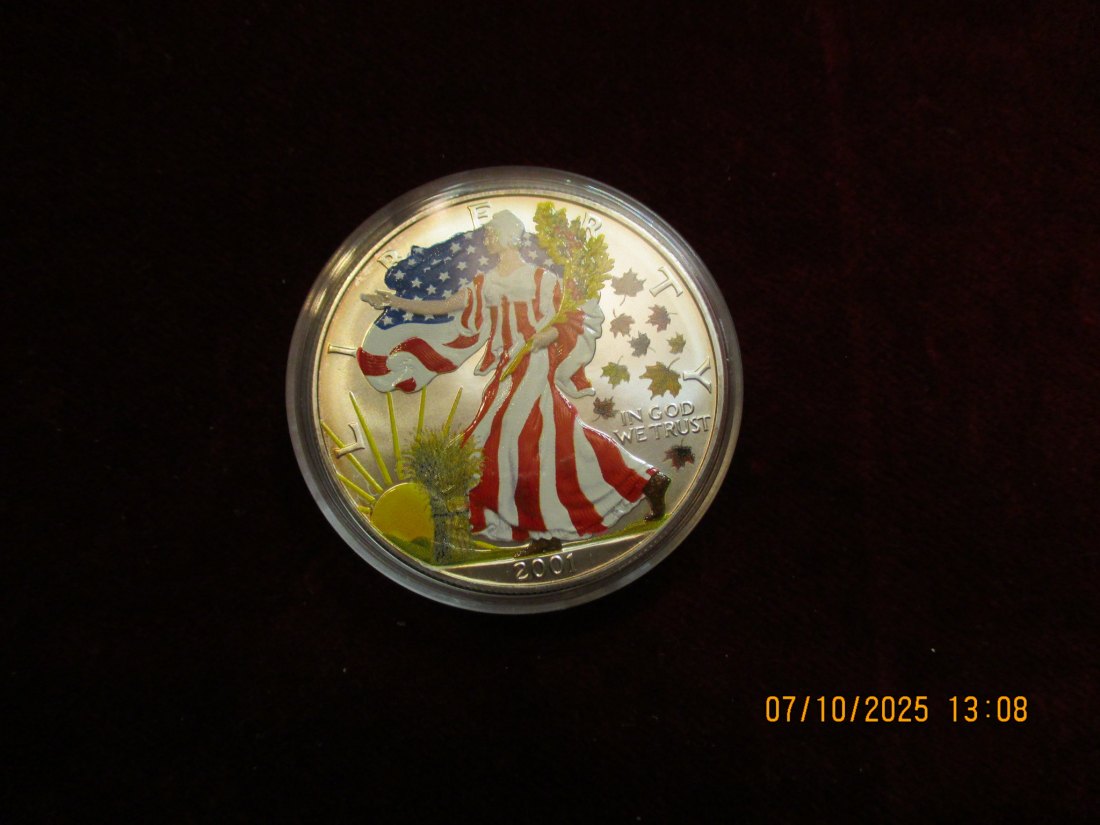  USA 1 Dollar 2001 American Eagle Color, 999er Silber Gewicht: 31,1g   