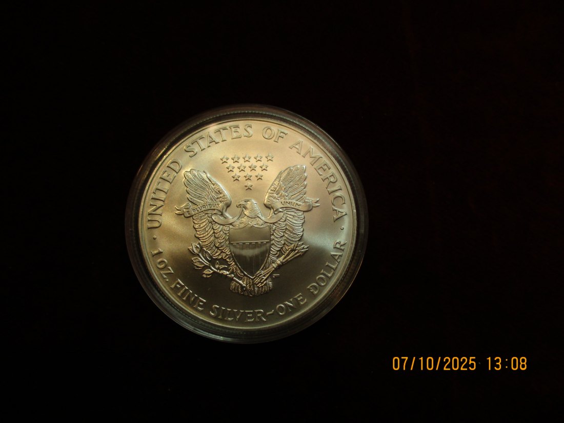  USA 1 Dollar 2001 American Eagle Color, 999er Silber Gewicht: 31,1g   
