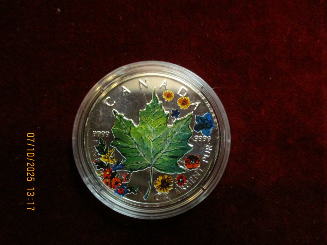  Kanada 5 Dollars 2001 Color, 9999er Silber Gewicht: 31,1g   