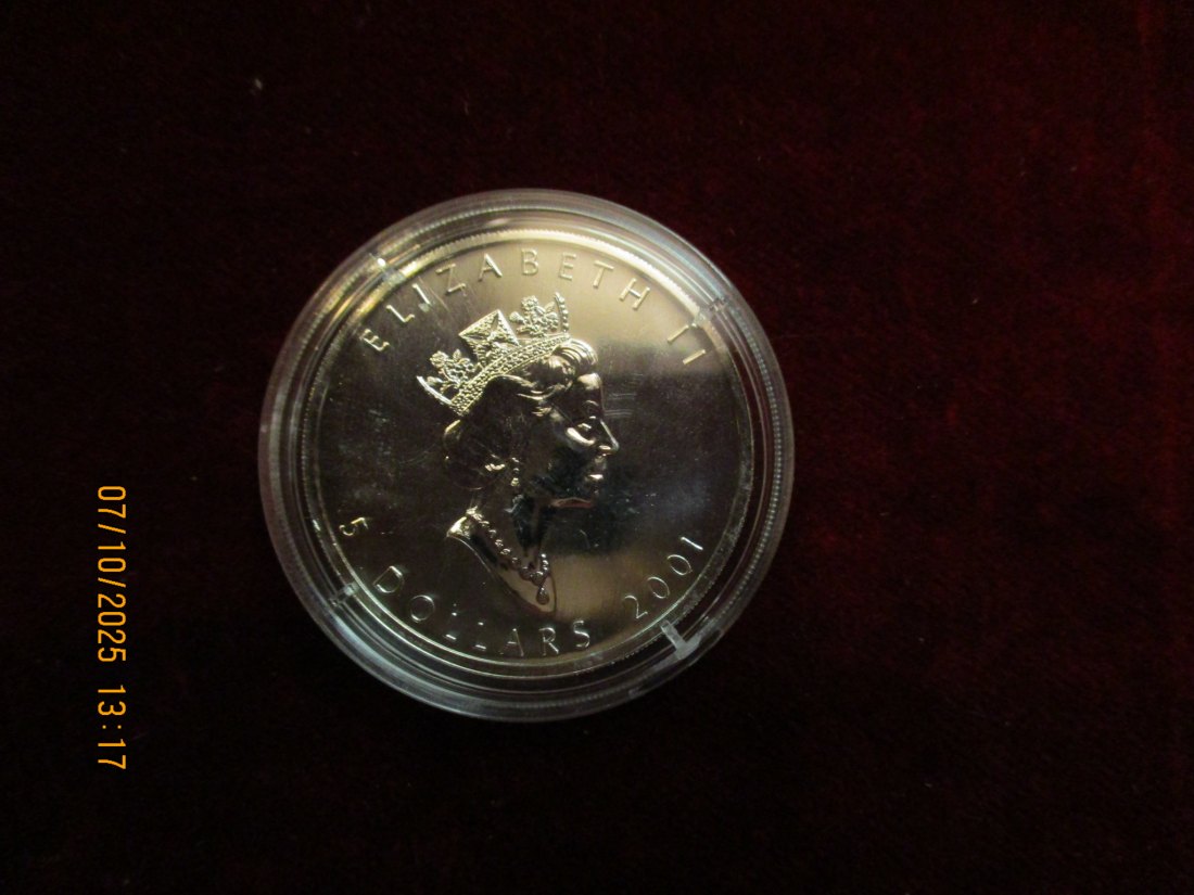  Kanada 5 Dollars 2001 Color, 9999er Silber Gewicht: 31,1g   