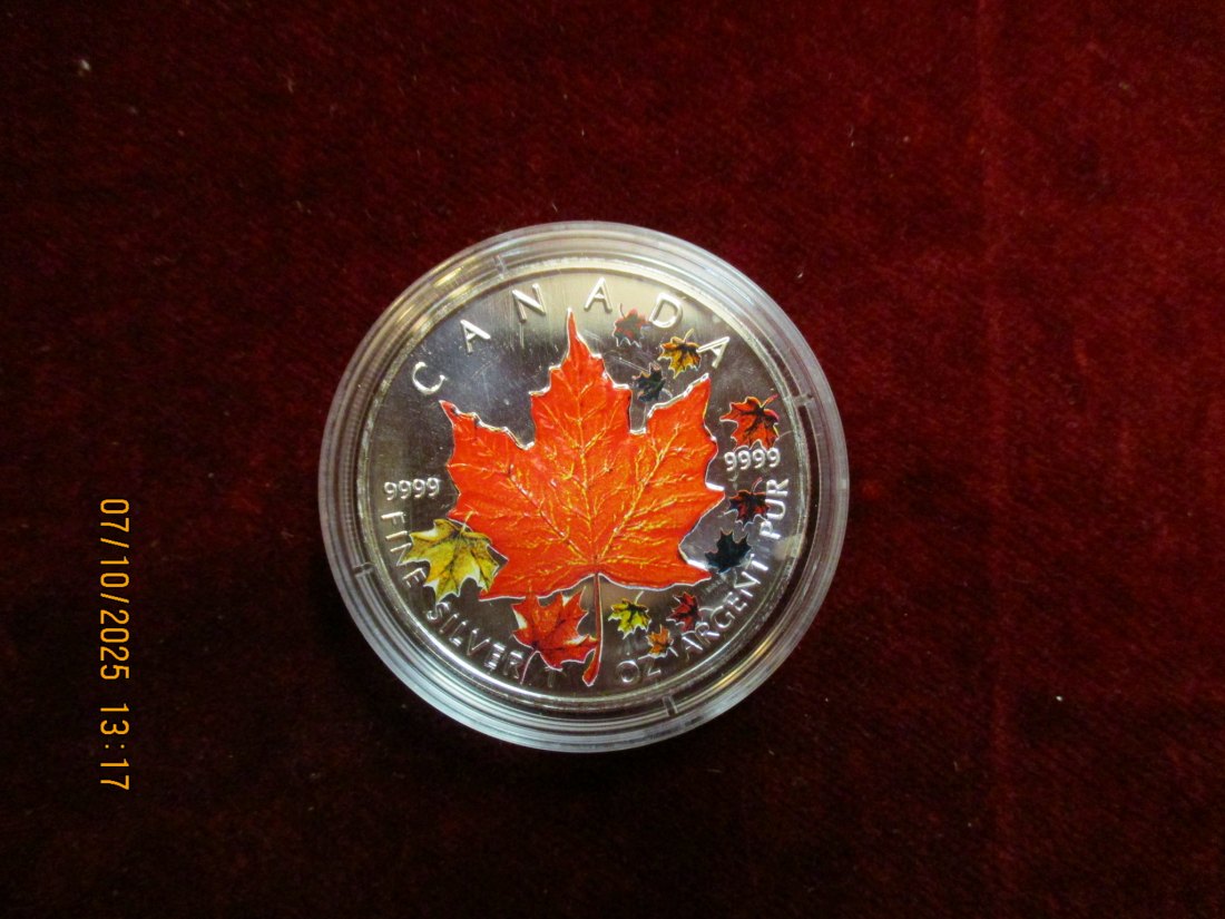  Kanada 5 Dollars 2001 Color, 9999er Silber Gewicht: 31,1g   