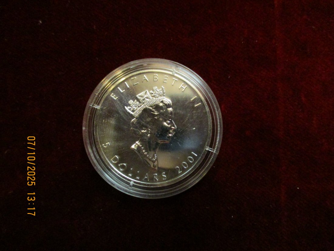  Kanada 5 Dollars 2001 Color, 9999er Silber Gewicht: 31,1g   
