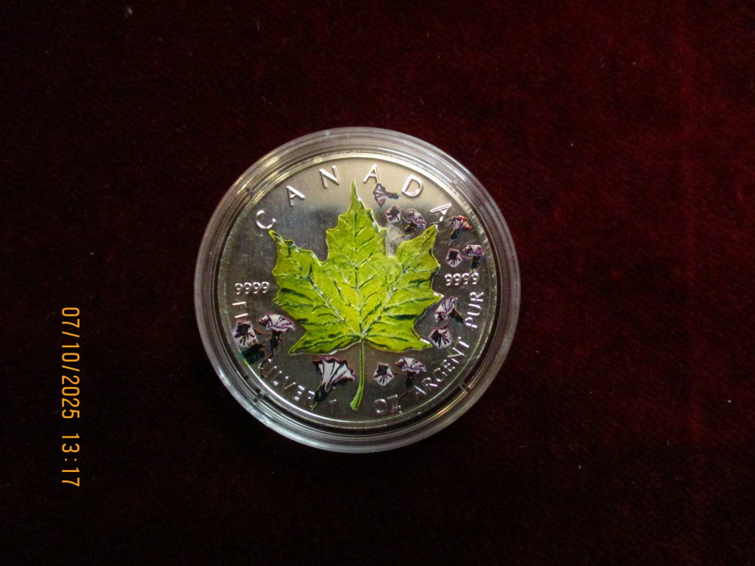  Kanada 5 Dollars 2001 Color, 9999er Silber Gewicht: 31,1g   