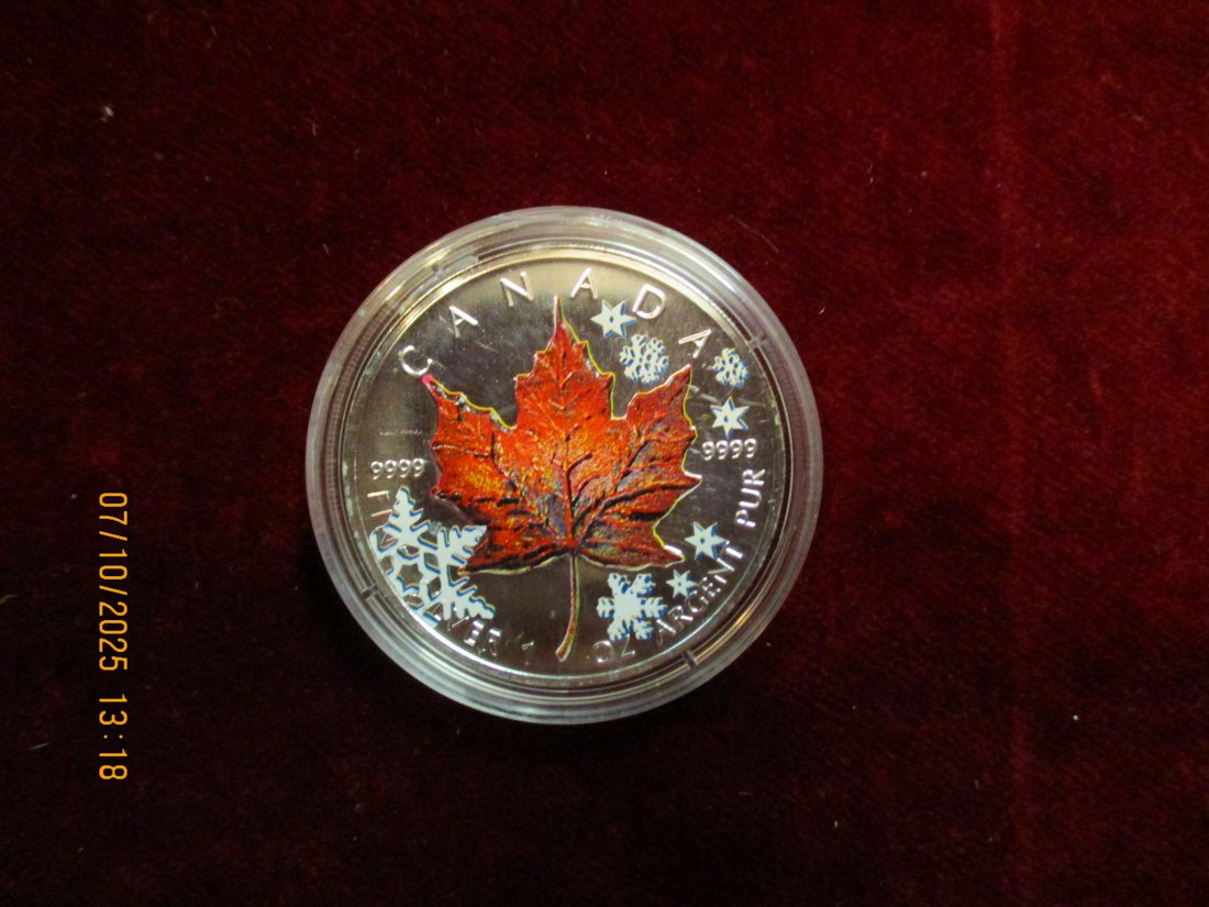  Kanada 5 Dollars 2001 Color, 9999er Silber Gewicht: 31,1g   