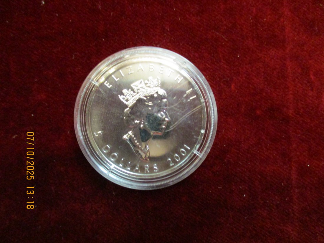  Kanada 5 Dollars 2001 Color, 9999er Silber Gewicht: 31,1g   