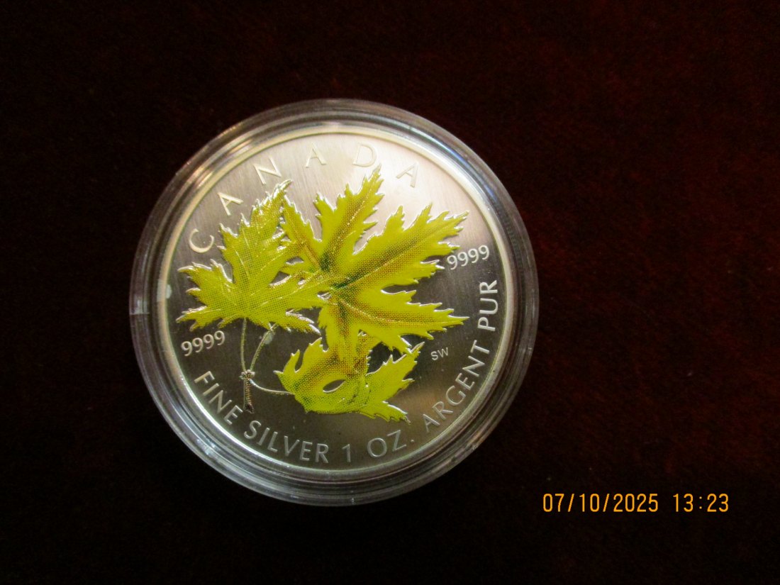  Kanada 5 Dollars 2006 Color, 9999er Silber Gewicht: 31,1g   