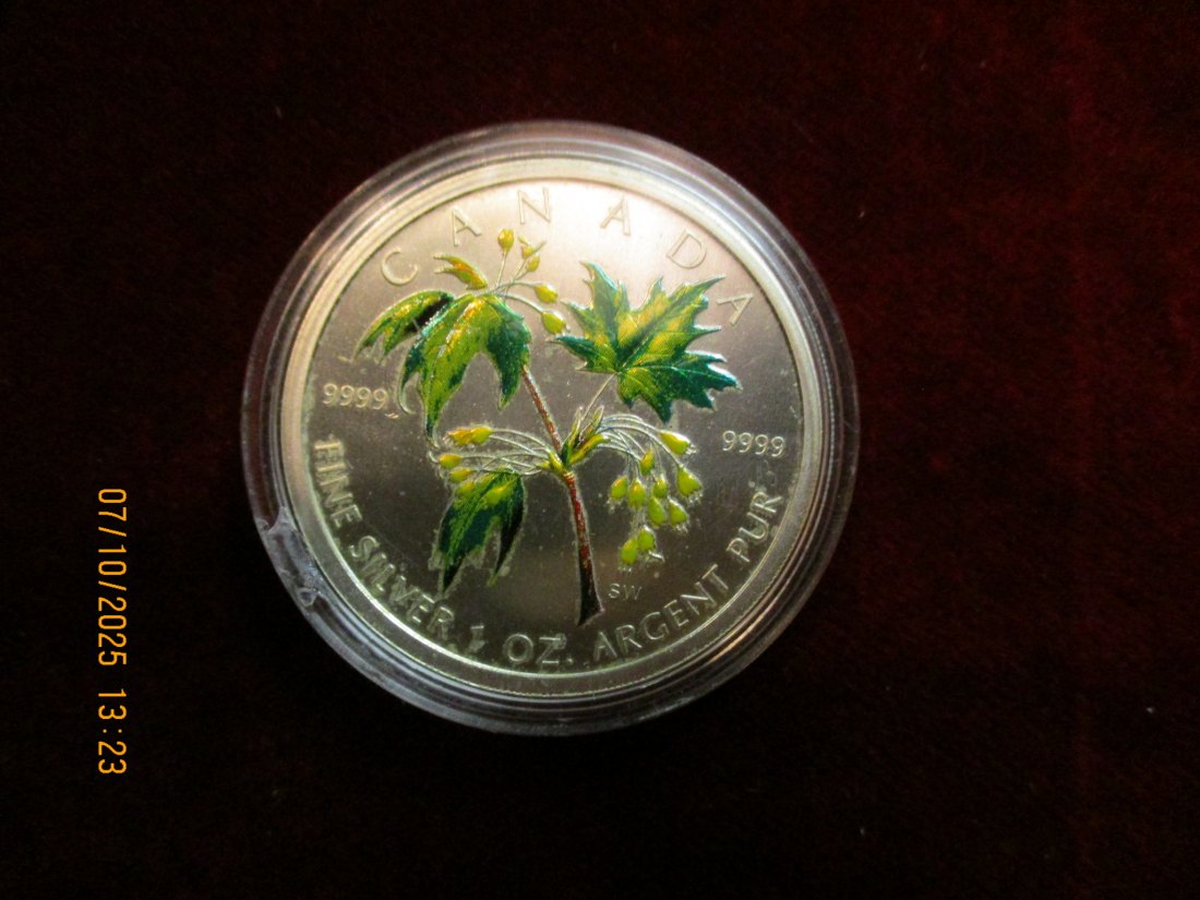  Kanada 5 Dollars 2003 Color, 9999er Silber Gewicht: 31,1g   