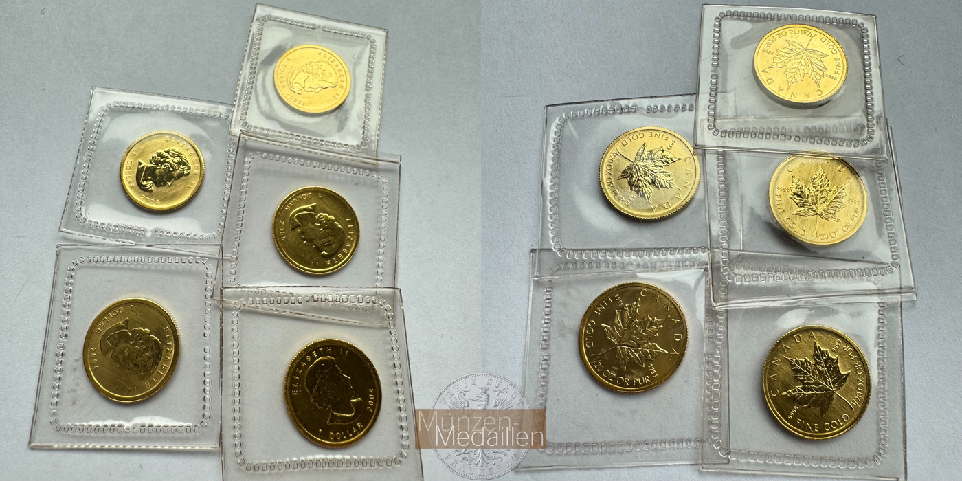  Lot: Canada 5x 1 Dollar Elizabeth II Maple Leaf (2004-2012) MM-Frankfurt KM#1416 Feingold: 7,775g   