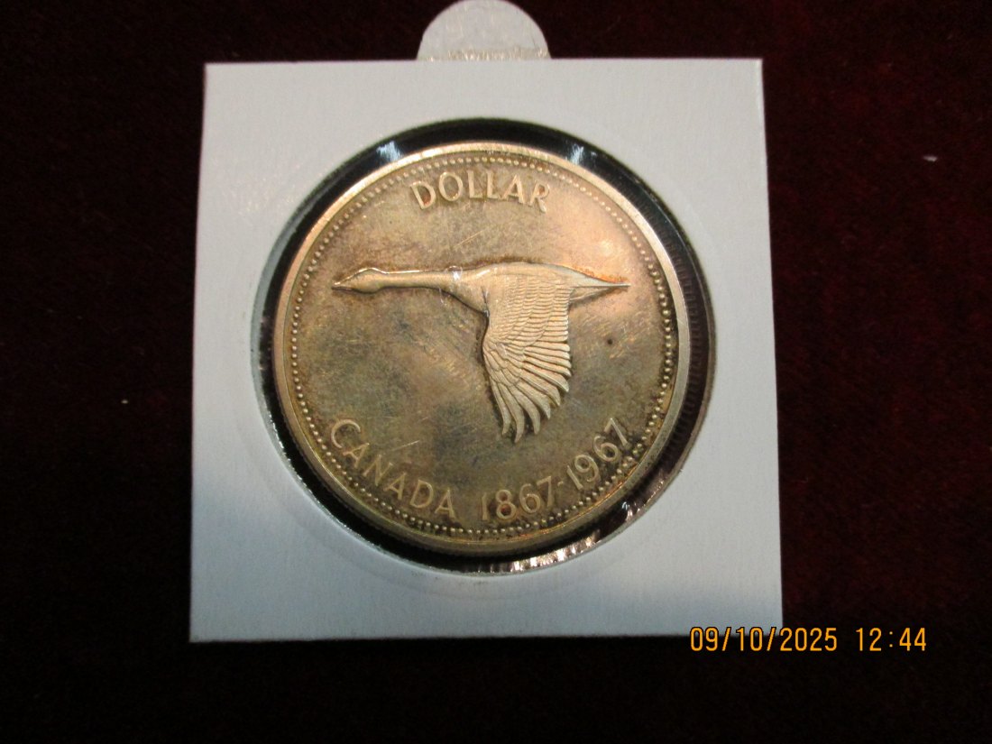  Kanada 1 Dollar 1967 Metall: 800er Silber 23,32g   