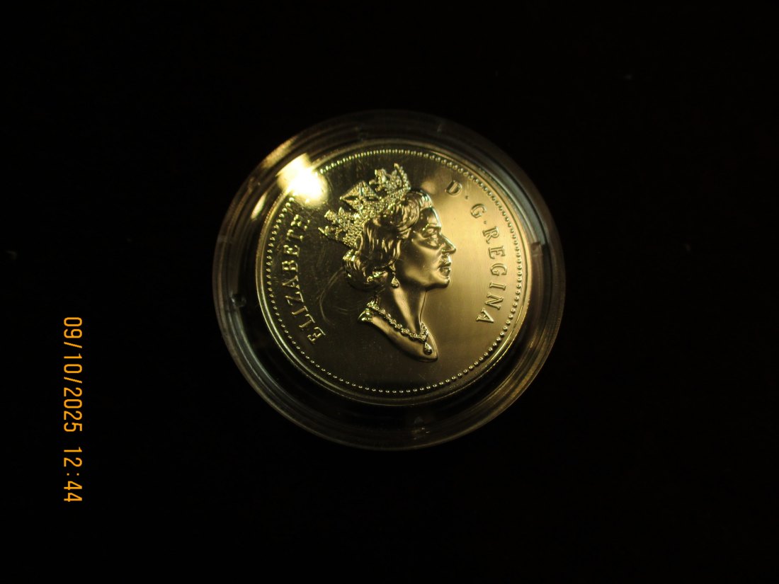  Kanada 1 Dollar 1999 Metall: 925er Silber 25,17g   
