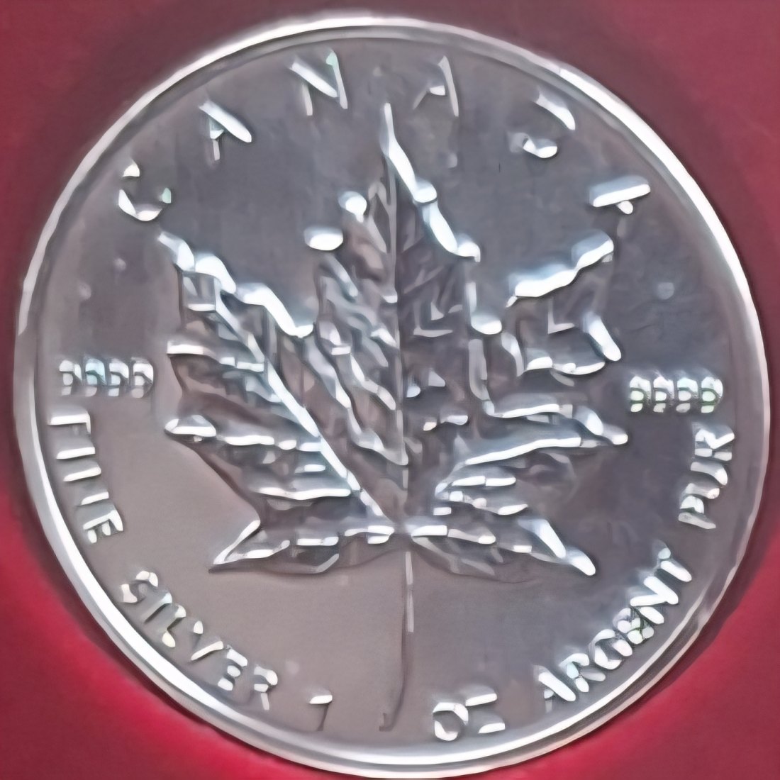  Kanada, 5 Dollar 2001 Elizabeth II 1oz Silber 999,9/1000 =31,1g fein lose   