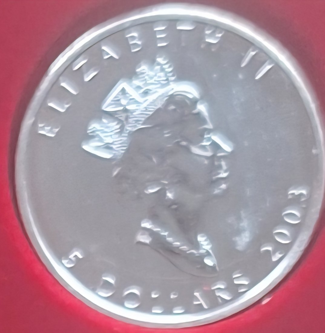  Kanada, 5 Dollar 2003 Elizabeth II 1oz Silber 999,9/1000 =31,1g fein lose   