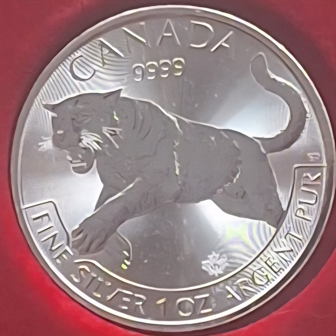  Kanada, 5 Dollar 2016 Elizabeth II 1oz Silber 999,9/1000 =31,1g fein lose   