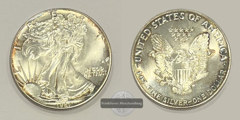  USA 1 Dollar 1987 Walking Liberty KM#273 FM-Frankfurt Feinsilber: 31,1g   