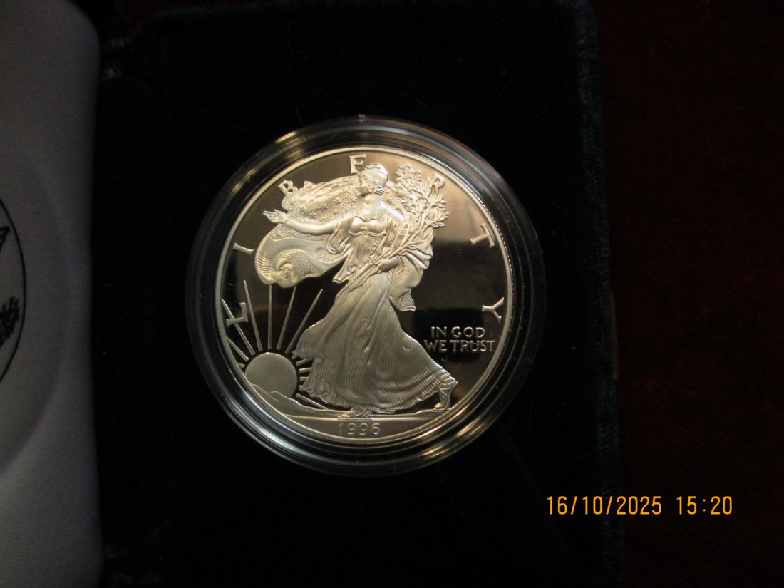  USA 1 Dollar 1996 American Eagle 999er Silber Gewicht: 31,1g   