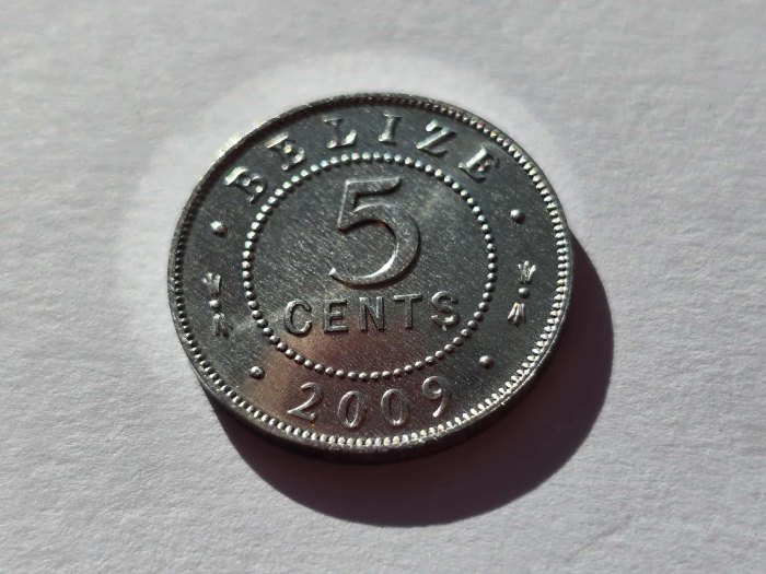  Belize 5 Cent 2009 STG   