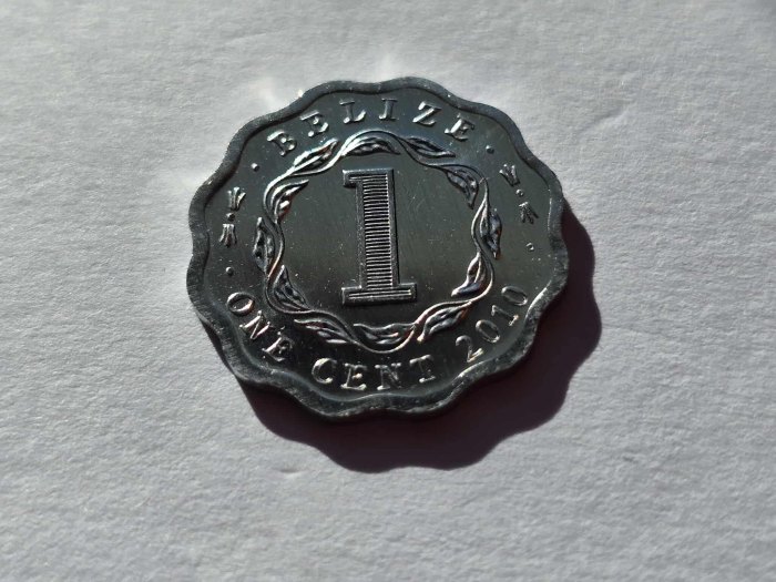 Belize 1 Cent 2010 STG   